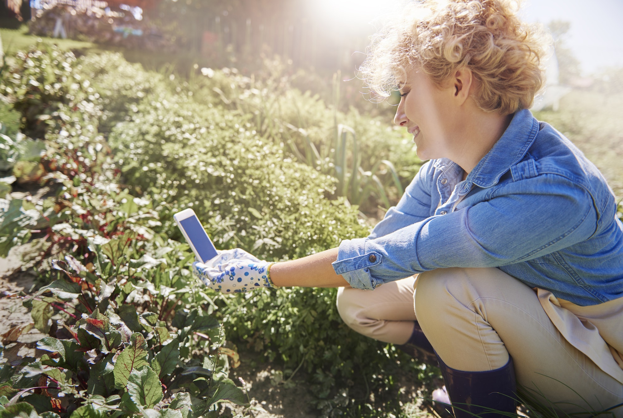 The Benefits Of Growing Your Vegetables: A Guide To Home Gardening